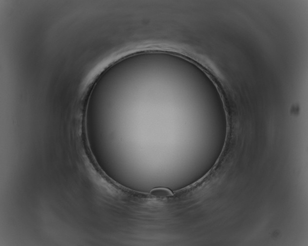 X0000093441504200710191029