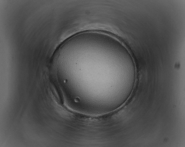 X0000093441505200710191029