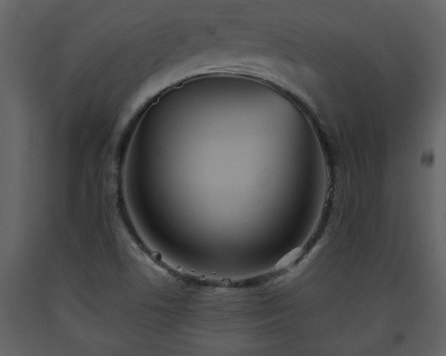 X0000093441506200710191029