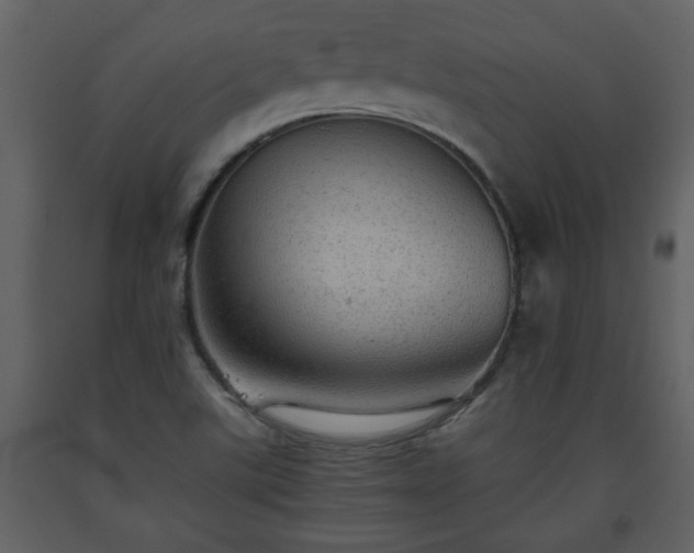 X0000093441507200710191029