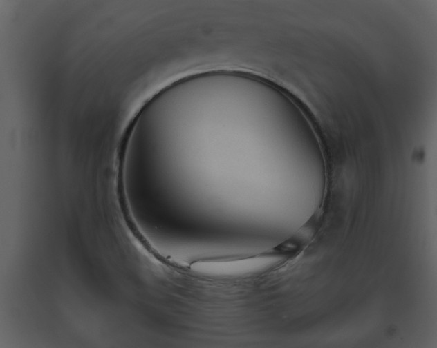 X0000093441508200710191029