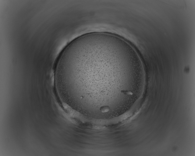 X0000093441509200710191029