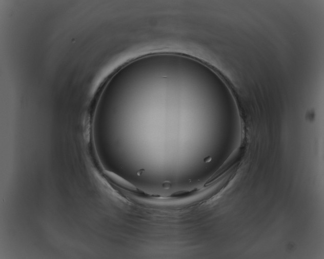 X0000093441510200710191029