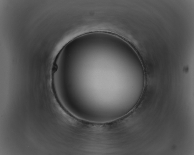 X0000093441512200710191029