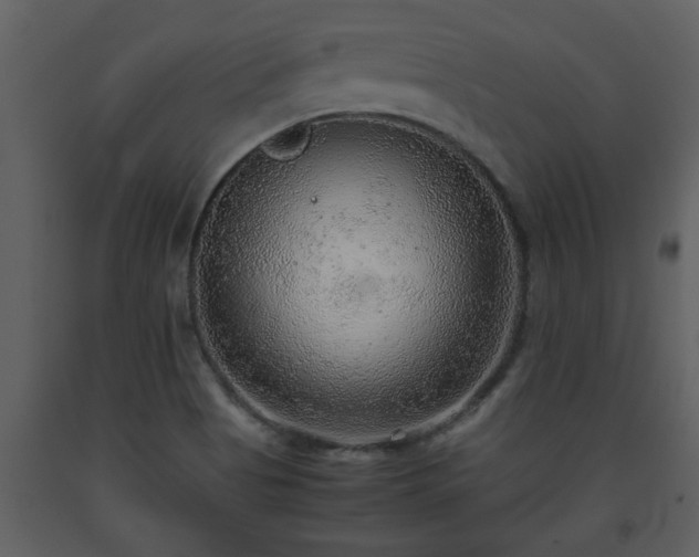X0000093441513200710191029