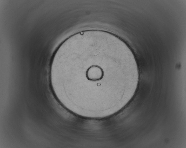 X0000093441514200710191029
