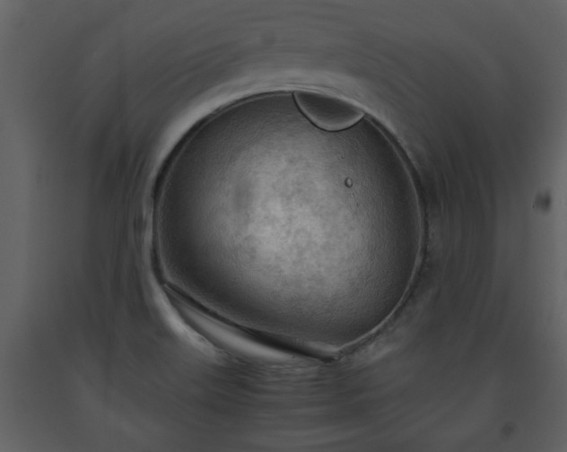 X0000093441515200710191030