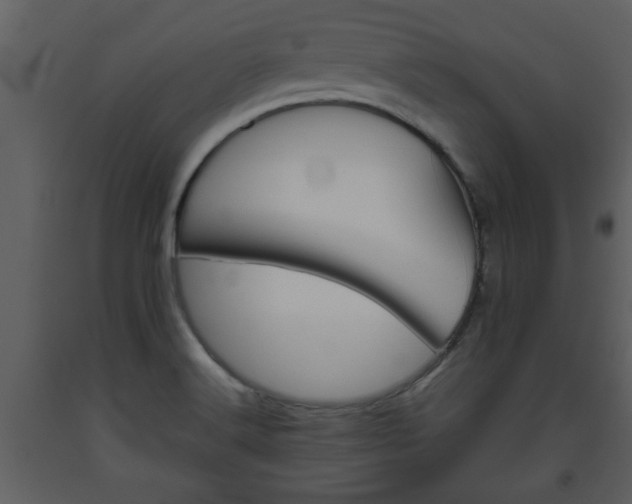 X0000093441516200710191030