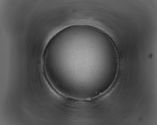 X0000093441517200710191030
