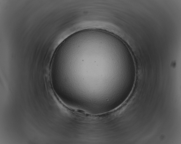 X0000093441521200710191030