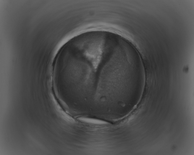X0000093441522200710191030