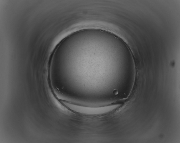 X0000093441523200710191030