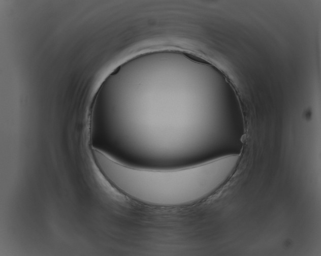 X0000093441524200710191030