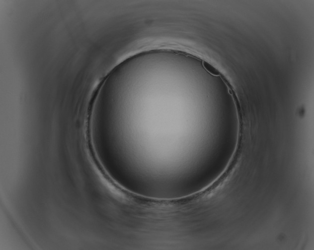 X0000093441525200710191030