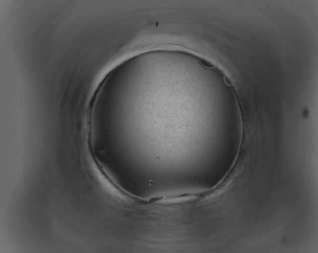 X0000093441526200710191030