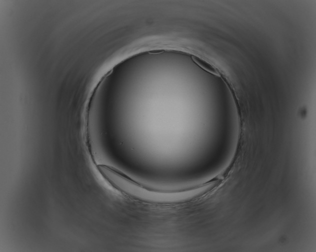 X0000093441528200710191030