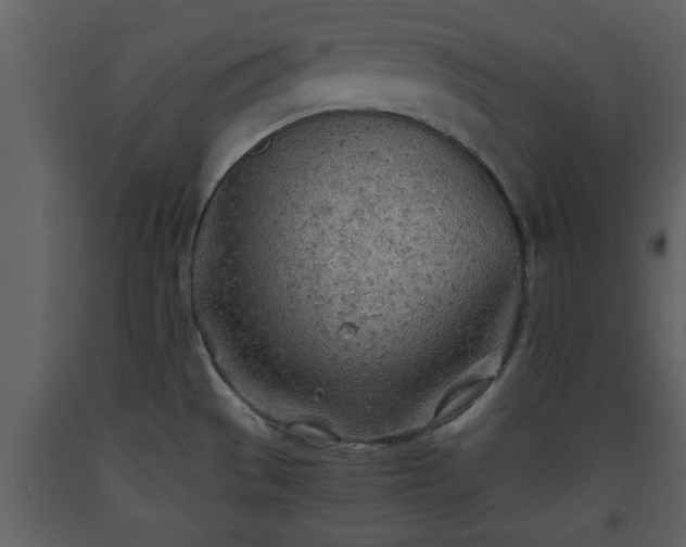 X0000093441529200710191030