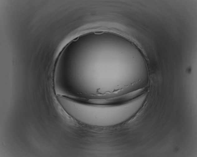 X0000093441530200710191030