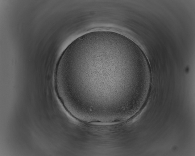 X0000093441533200710191030