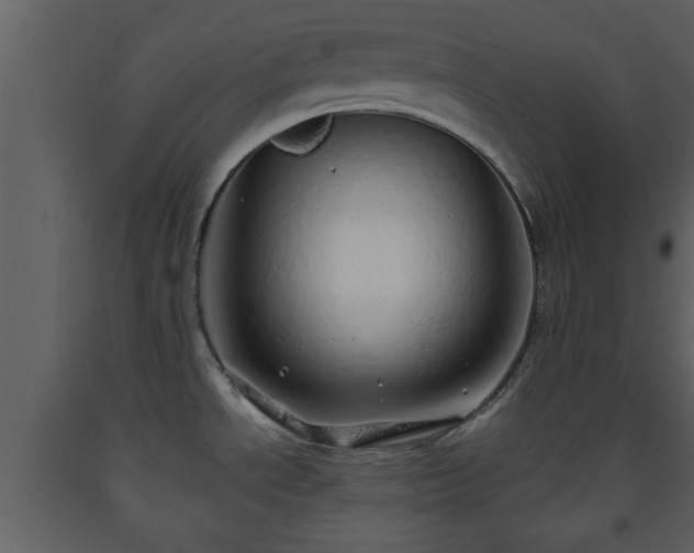 X0000093441534200710191030