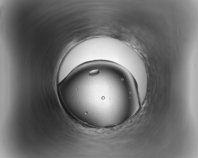 X0000093440003200710261050