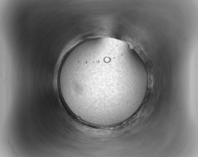 X0000093440004200710261050