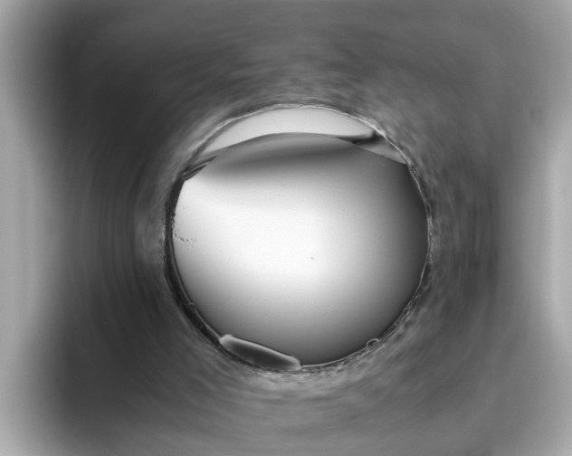 X0000093440005200710261050