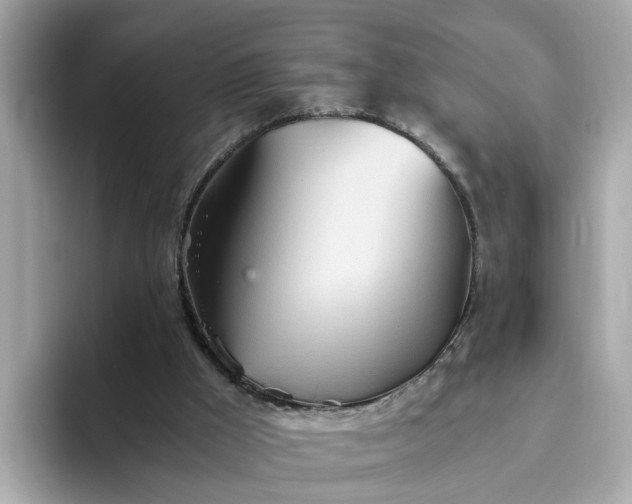 X0000093440009200710261050