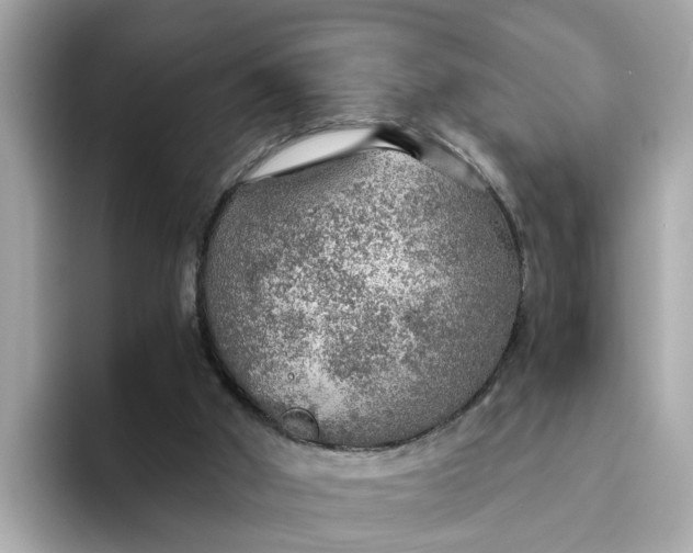 X0000093440010200710261050