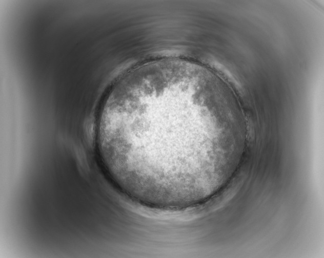 X0000093440016200710261050