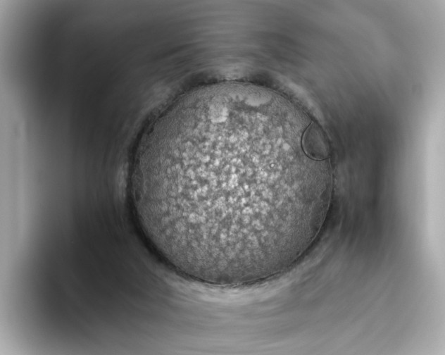 X0000093440018200710261050