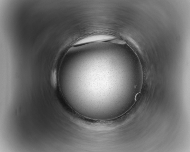 X0000093440020200710261050