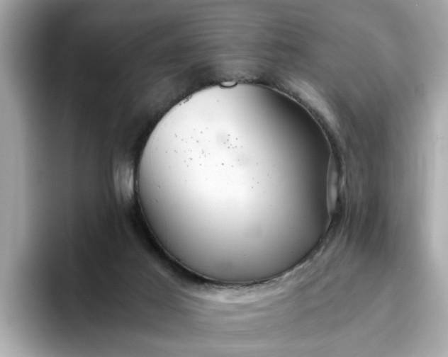 X0000093440021200710261050