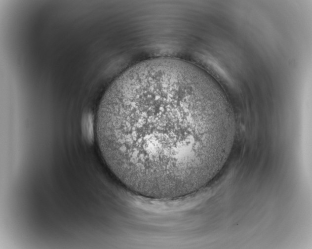 X0000093440022200710261050