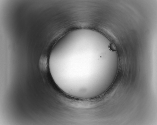 X0000093440024200710261050