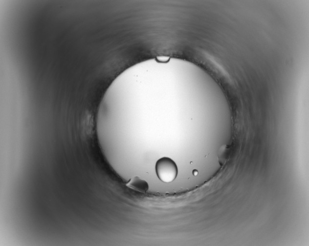 X0000093440025200710261050