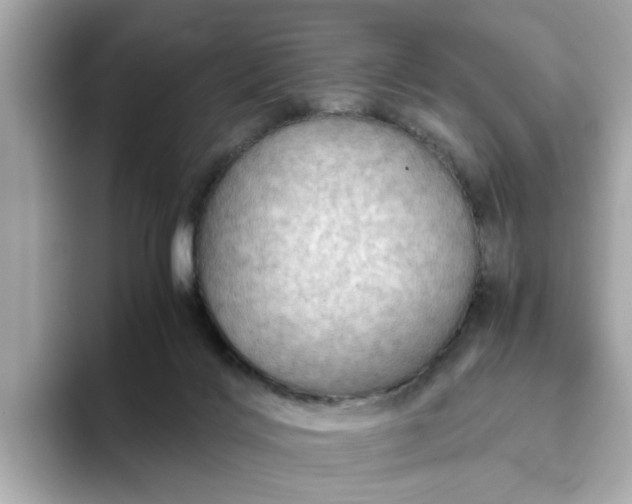 X0000093440028200710261050