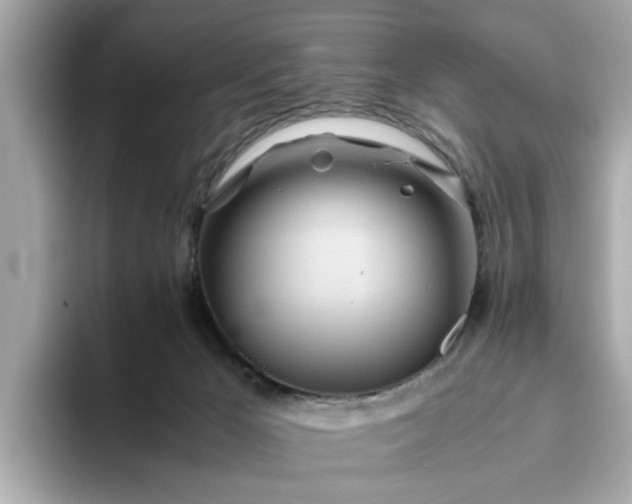 X0000093440029200710261050