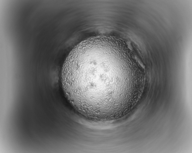 X0000093440032200710261050