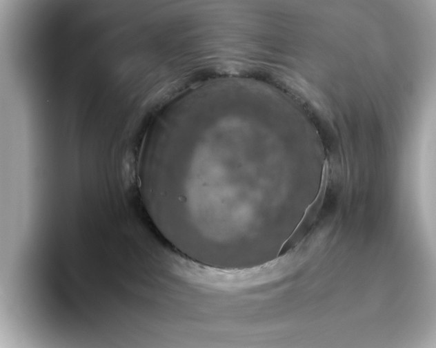 X0000093440043200710261049