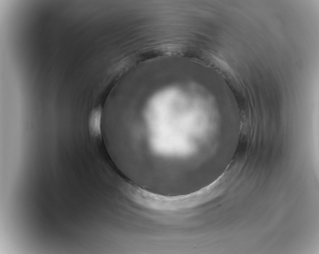 X0000093440047200710261049