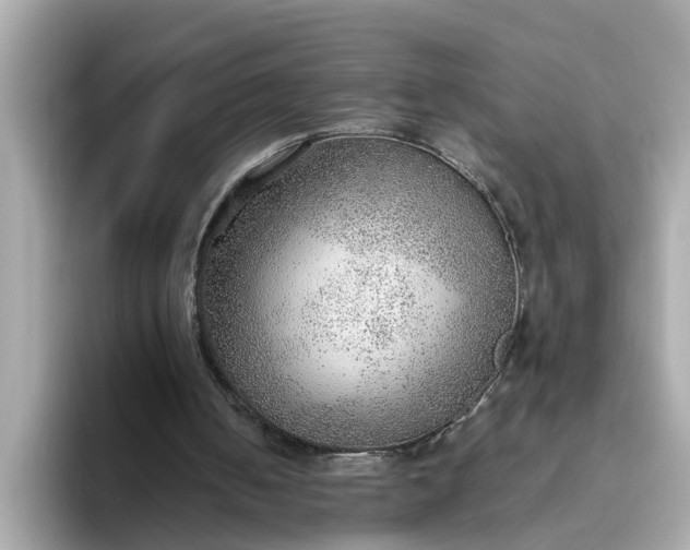 X0000093440050200710261049