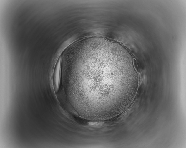 X0000093440051200710261049