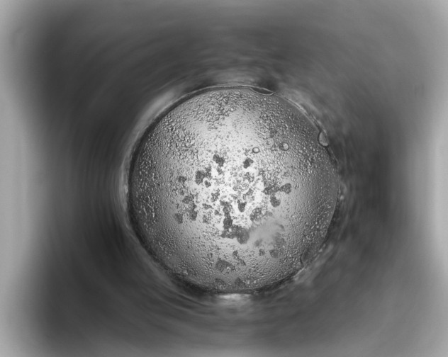 X0000093440053200710261049