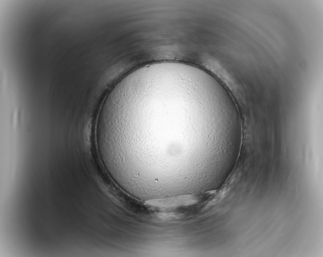 X0000093440058200710261049