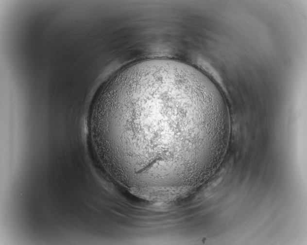 X0000093440059200710261049