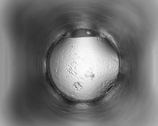 X0000093440061200710261049