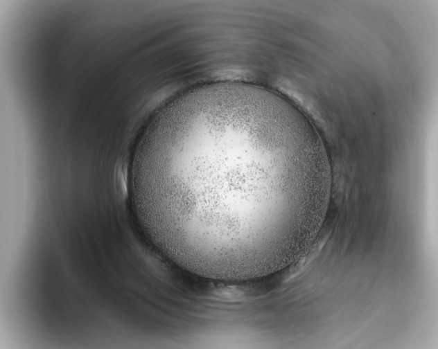 X0000093440062200710261049