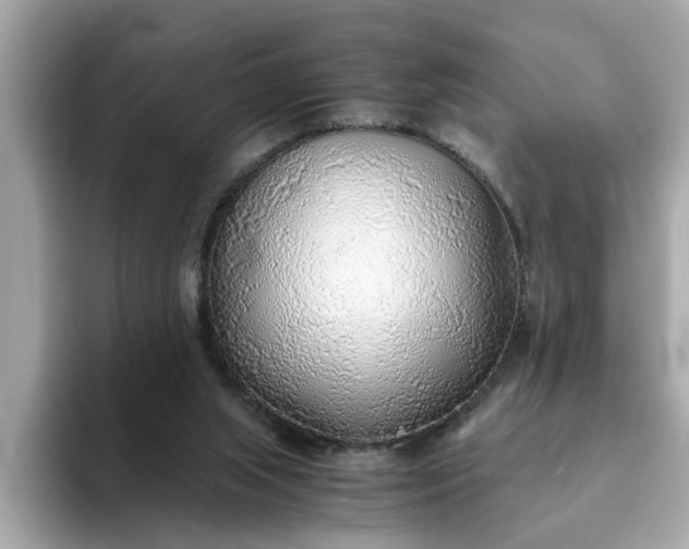 X0000093440063200710261049