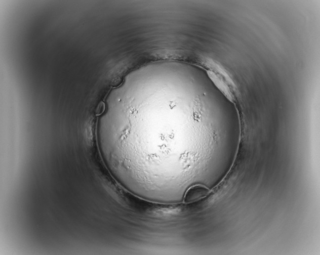 X0000093440065200710261049